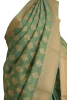 Handloom Exclusive Banarasi Cotton Saree